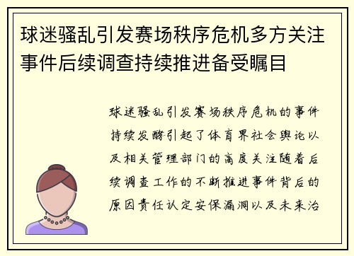 球迷骚乱引发赛场秩序危机多方关注事件后续调查持续推进备受瞩目